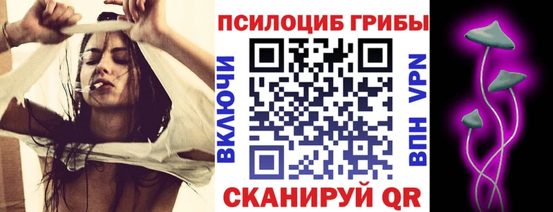 Галлюциногенные грибы Cubensis  купить наркотики сайты  Кукмор 